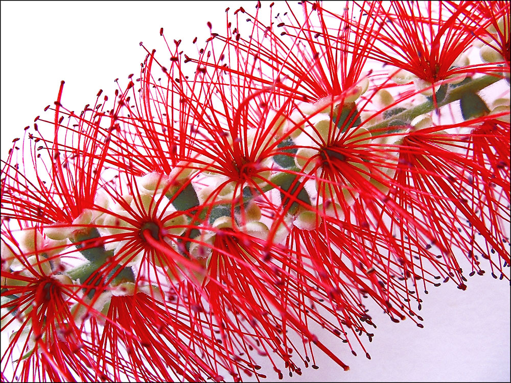 Photography by TampaDroid for DesignCrowd (Community Contests) | Design #9125808