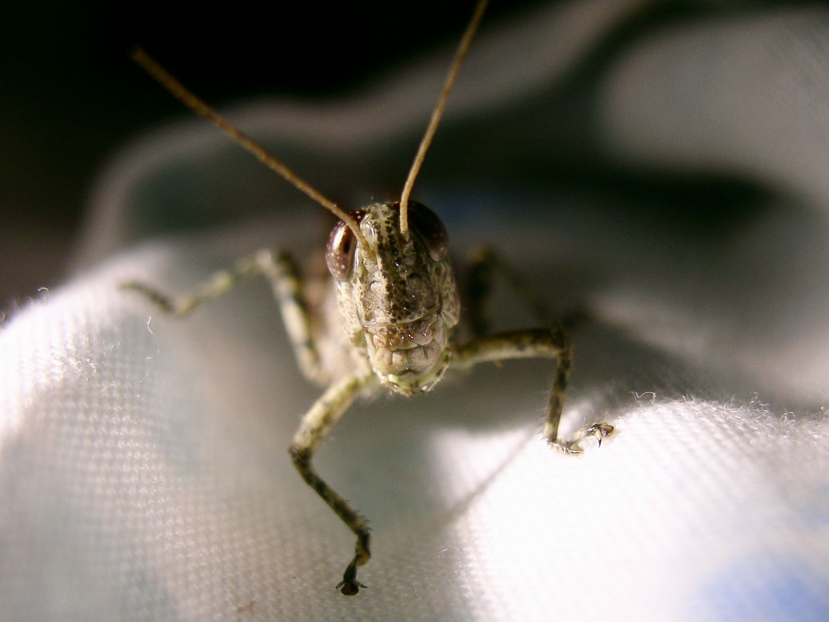 Photography by Spork_of_doom for DesignCrowd (Community Contests) | Design #9125798