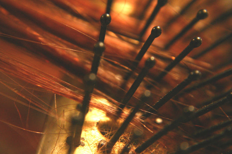 Photographie par HuffieVA pour DesignCrowd (Community Contests) | Design #9125825