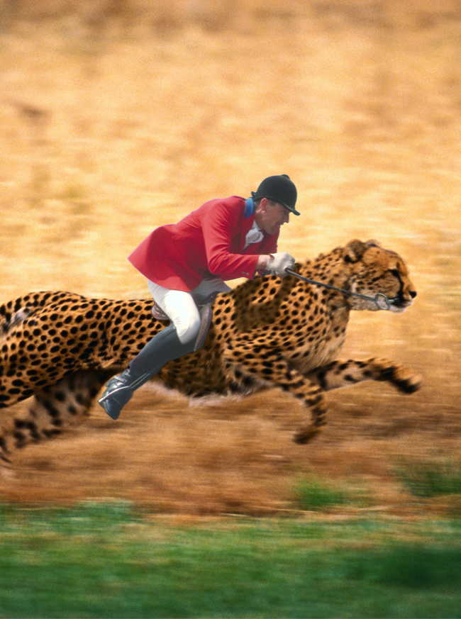 Photoshop Design by breimer for DesignCrowd (Community Contests) | Design #9123936