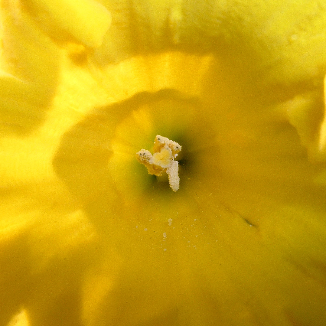 Photographie par blurmore pour DesignCrowd (Community Contests) | Design #9125984