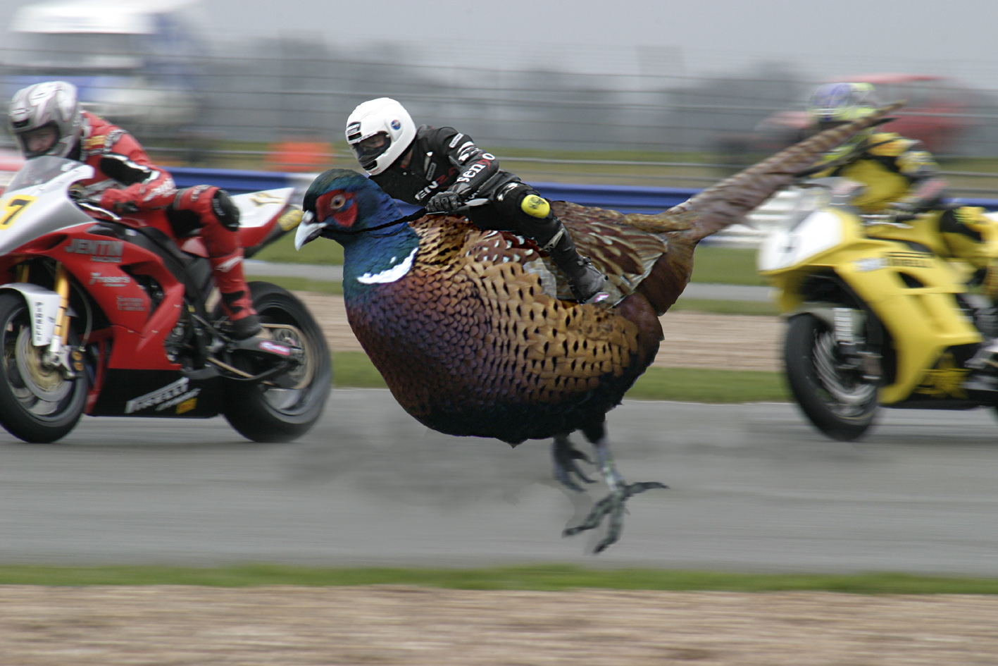 Diseño de Photoshop por cuzzie para DesignCrowd (Community Contests) | Diseño #9123960