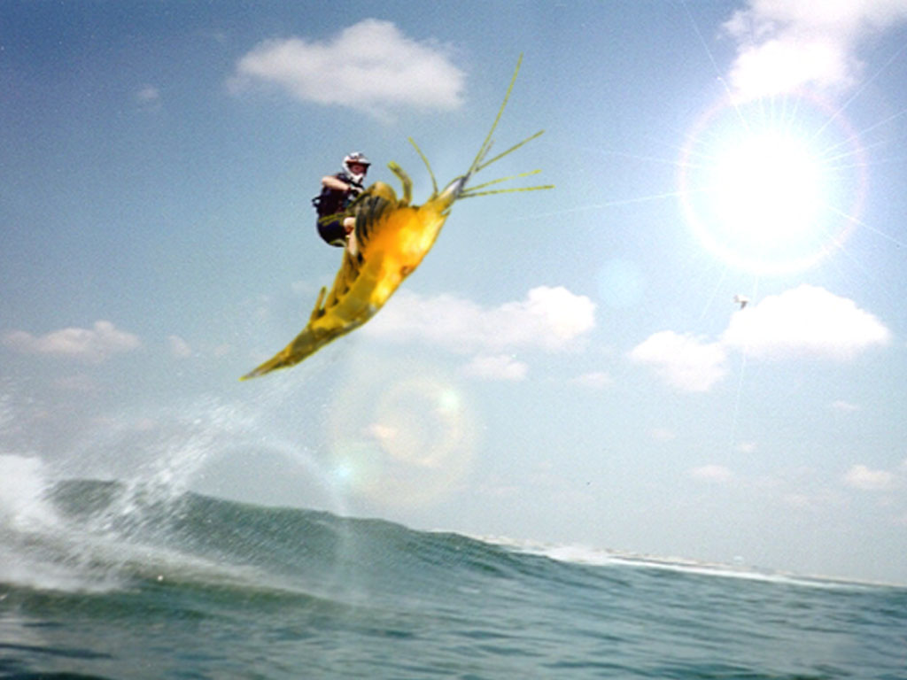 Photoshop-Design von godzillatemple für DesignCrowd (Community Contests) | Design #9123974