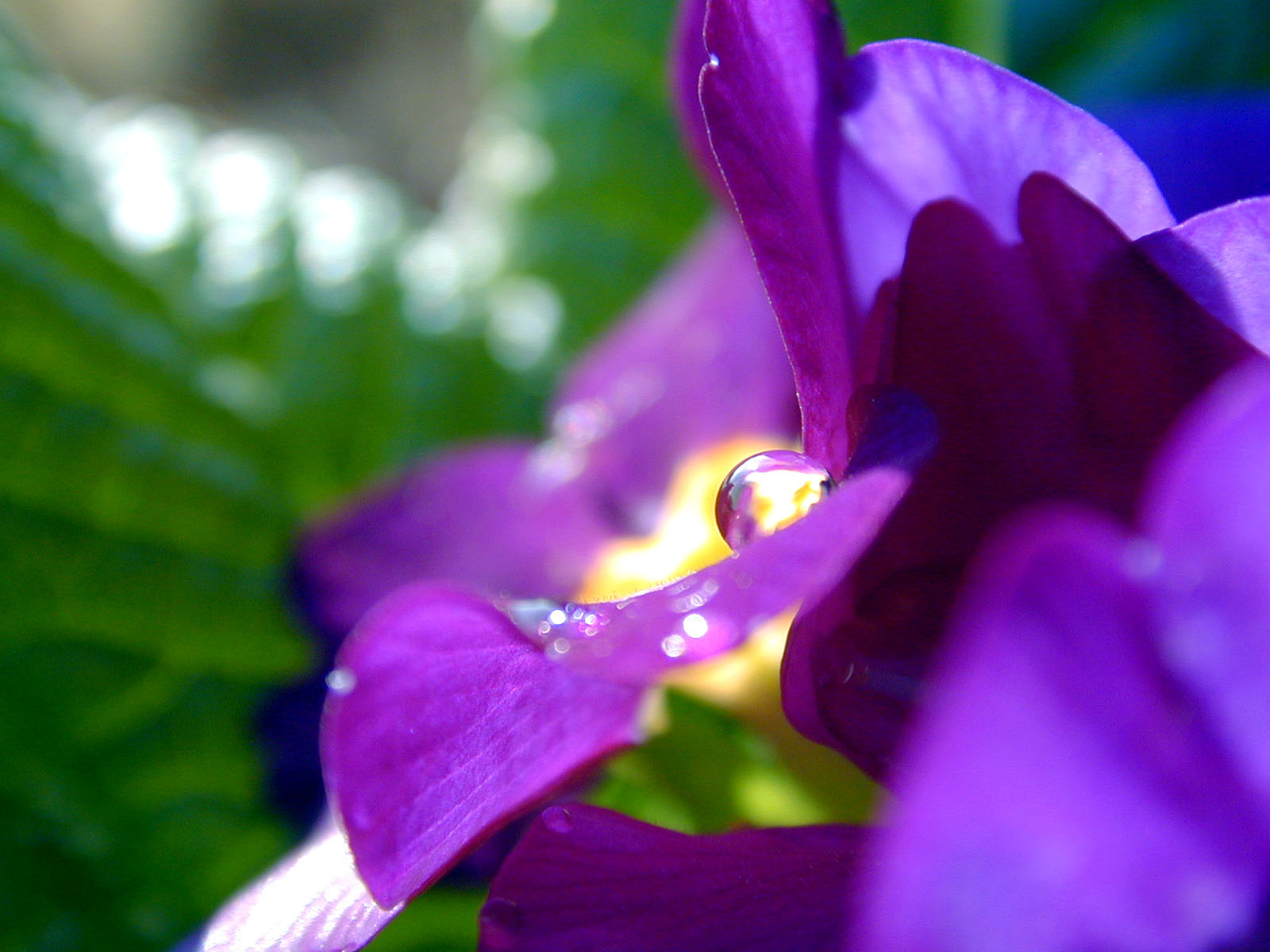 Photography by dsblack for DesignCrowd (Community Contests) | Design #9125986