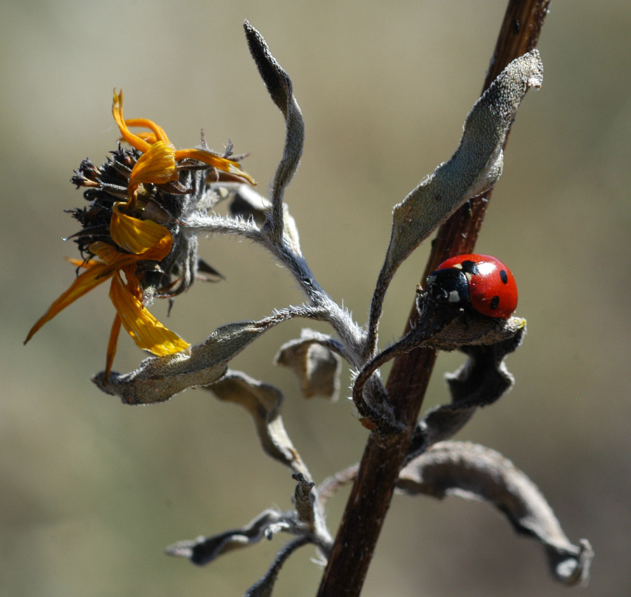 Fotografía por londubh para DesignCrowd (Community Contests) | Diseño #9126026