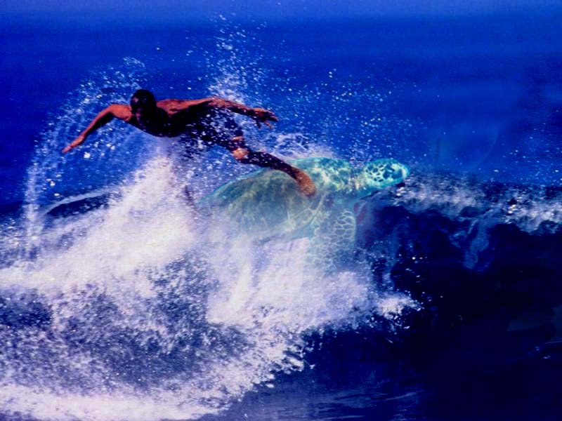 Photoshop-Design von GrogAlegutz für DesignCrowd (Community Contests) | Design #9124004