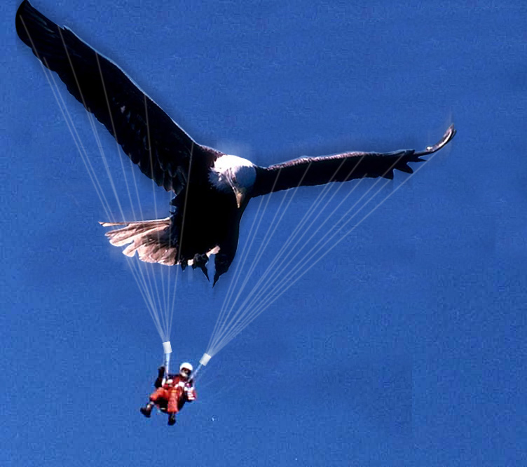 Design Photoshop par zeesamar pour DesignCrowd (Community Contests) | Design #9124010