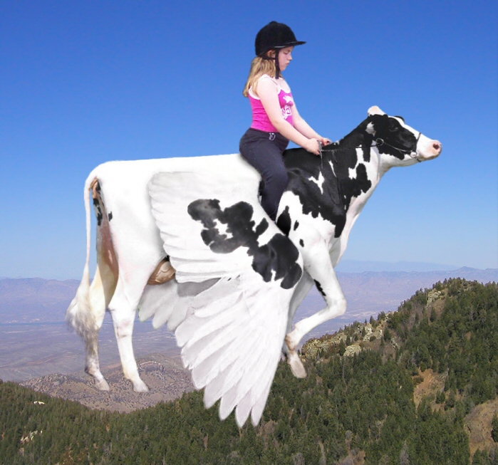 Diseño de Photoshop por daisiem para DesignCrowd (Community Contests) | Diseño #9124105