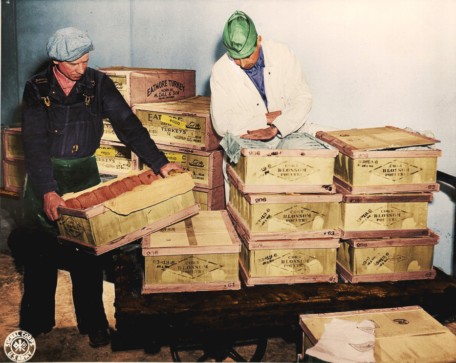 Photoshop Design by Gaspode for DesignCrowd (Community Contests) | Design #9104115