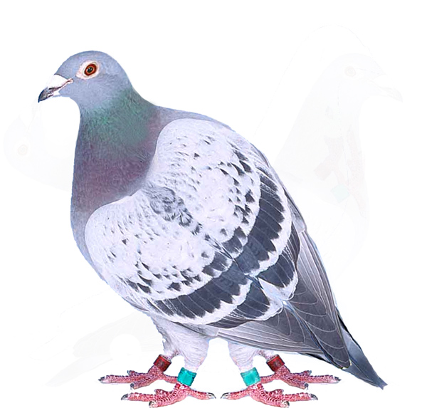 Photoshop-Design von AugixX für DesignCrowd (Community Contests) | Design #9124205