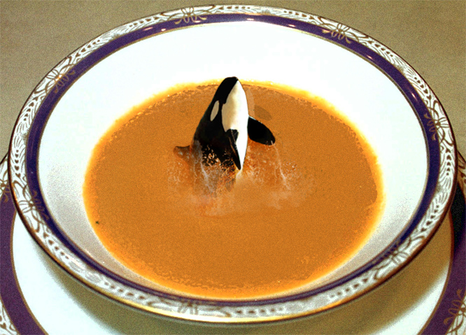 Photoshop-Design von AugixX für DesignCrowd (Community Contests) | Design #9106479