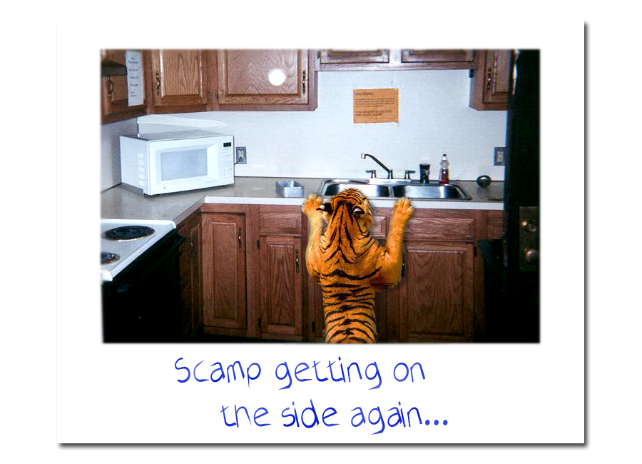 Photoshop Design by grimley for DesignCrowd (Community Contests) | Design #9106509