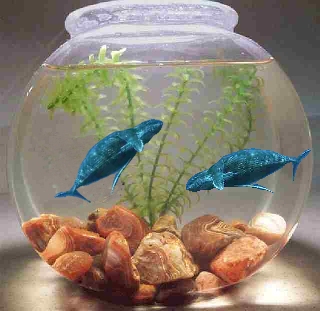 Photoshop-Design von MrsFuzzButt für DesignCrowd (Community Contests) | Design #9106507