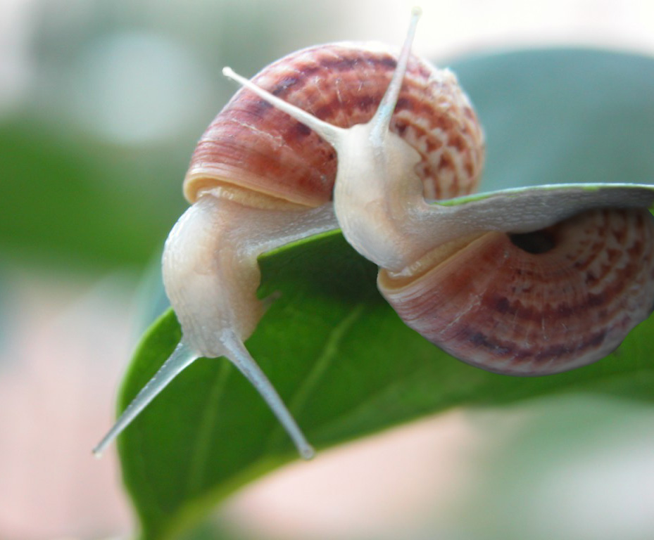 Photoshop Design by Smokeg for DesignCrowd (Community Contests) | Design #9124312