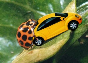 Photoshop Design by Alicat1194 for DesignCrowd (Community Contests) | Design #9106496