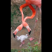 Photoshop Design by axwear