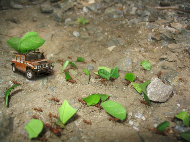 Photoshop Design by Monkeyknife for DesignCrowd (Community Contests) | Design #9106513