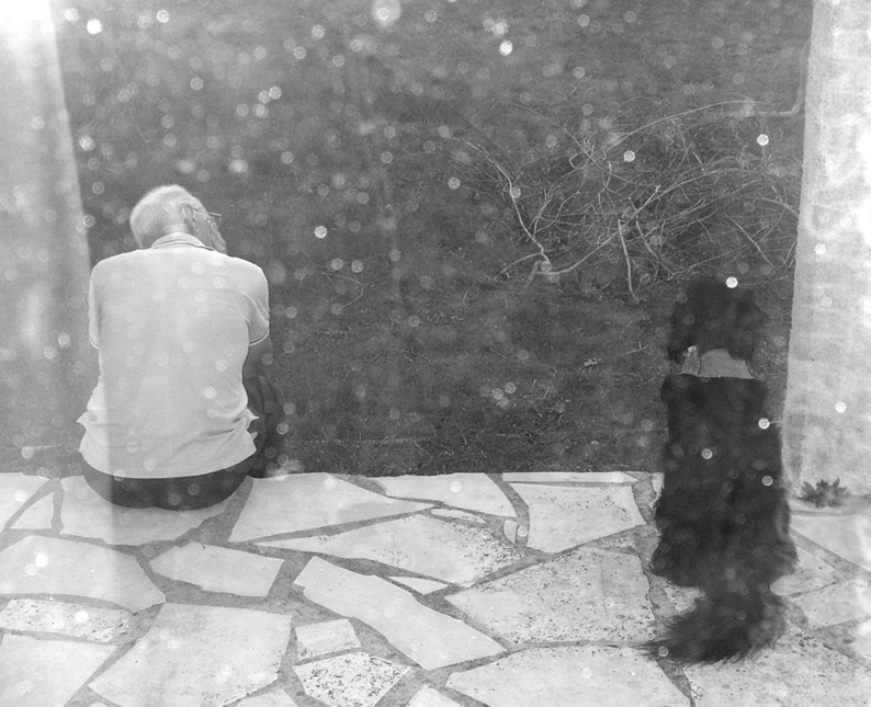 Photography by lafilledenhaut for DesignCrowd (Community Contests) | Design #9120746