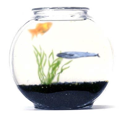 Photoshop Design by Taethen for DesignCrowd (Community Contests) | Design #9106522