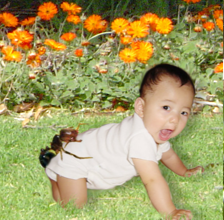 Photoshop Design by DannyHonx for DesignCrowd (Community Contests) | Design #9106668