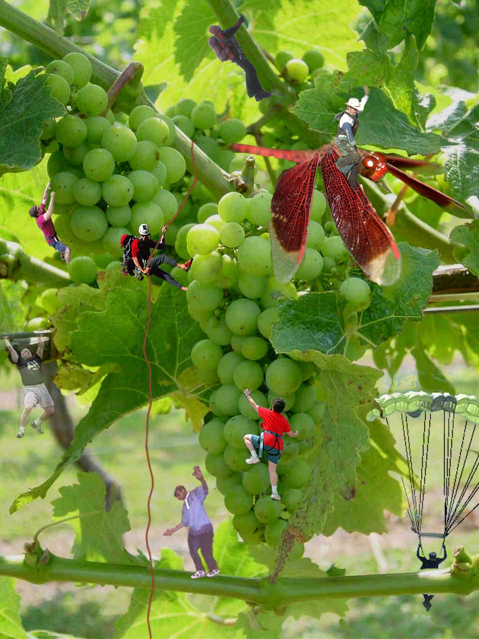 Photoshop-Design von GrogAlegutz für DesignCrowd (Community Contests) | Design #9106603