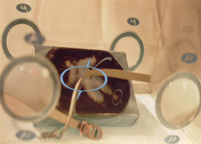 Fotografía por BredaTeeta para DesignCrowd (Community Contests) | Diseño #9118113