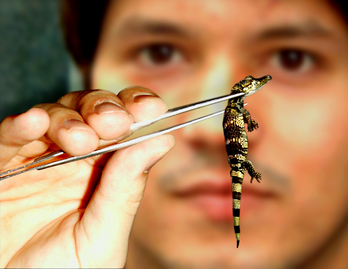 Photoshop Design by Norrit for DesignCrowd (Community Contests) | Design #9106607