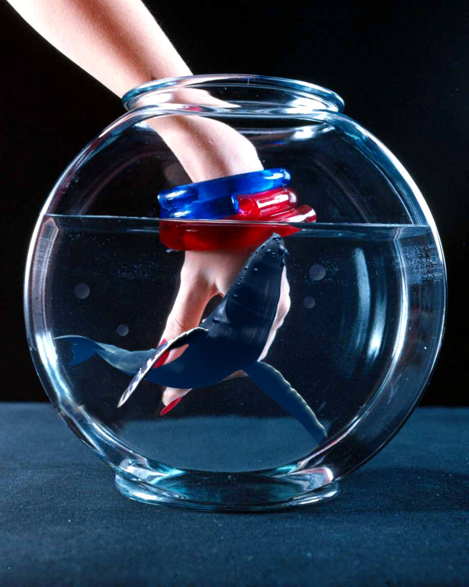 Diseño de Photoshop por Terrence para DesignCrowd (Community Contests) | Diseño #9106599