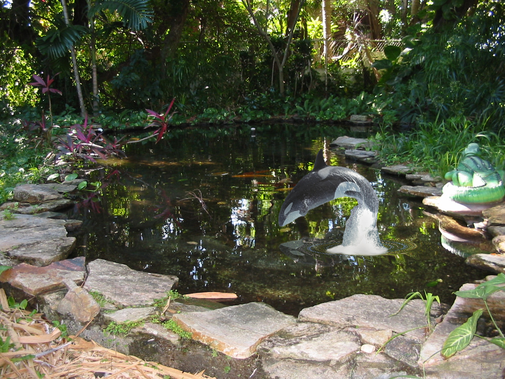 Photoshop Design by Nitehawk for DesignCrowd (Community Contests) | Design #9106610