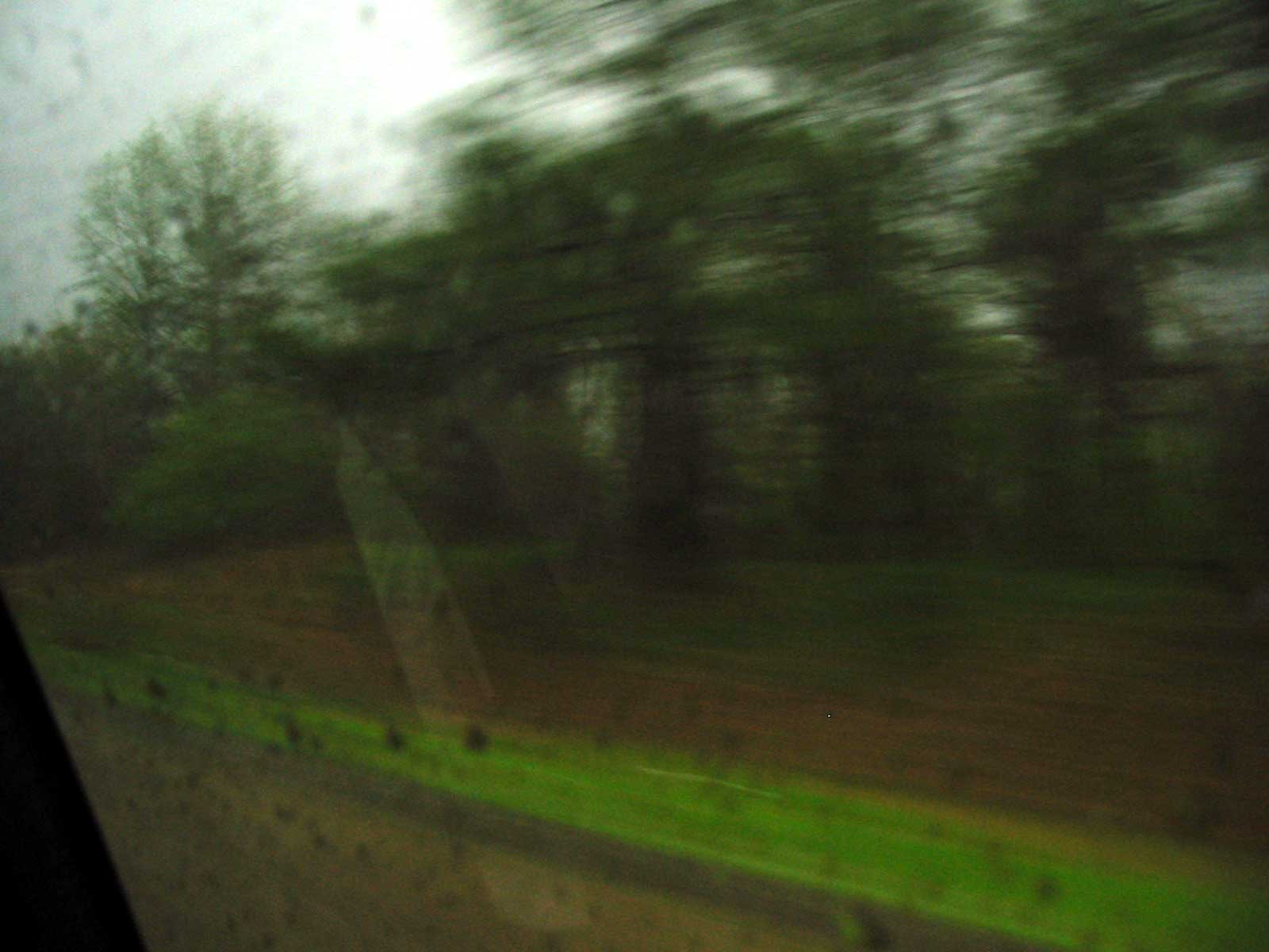 Photography by Caligreal for DesignCrowd (Community Contests) | Design #9122074