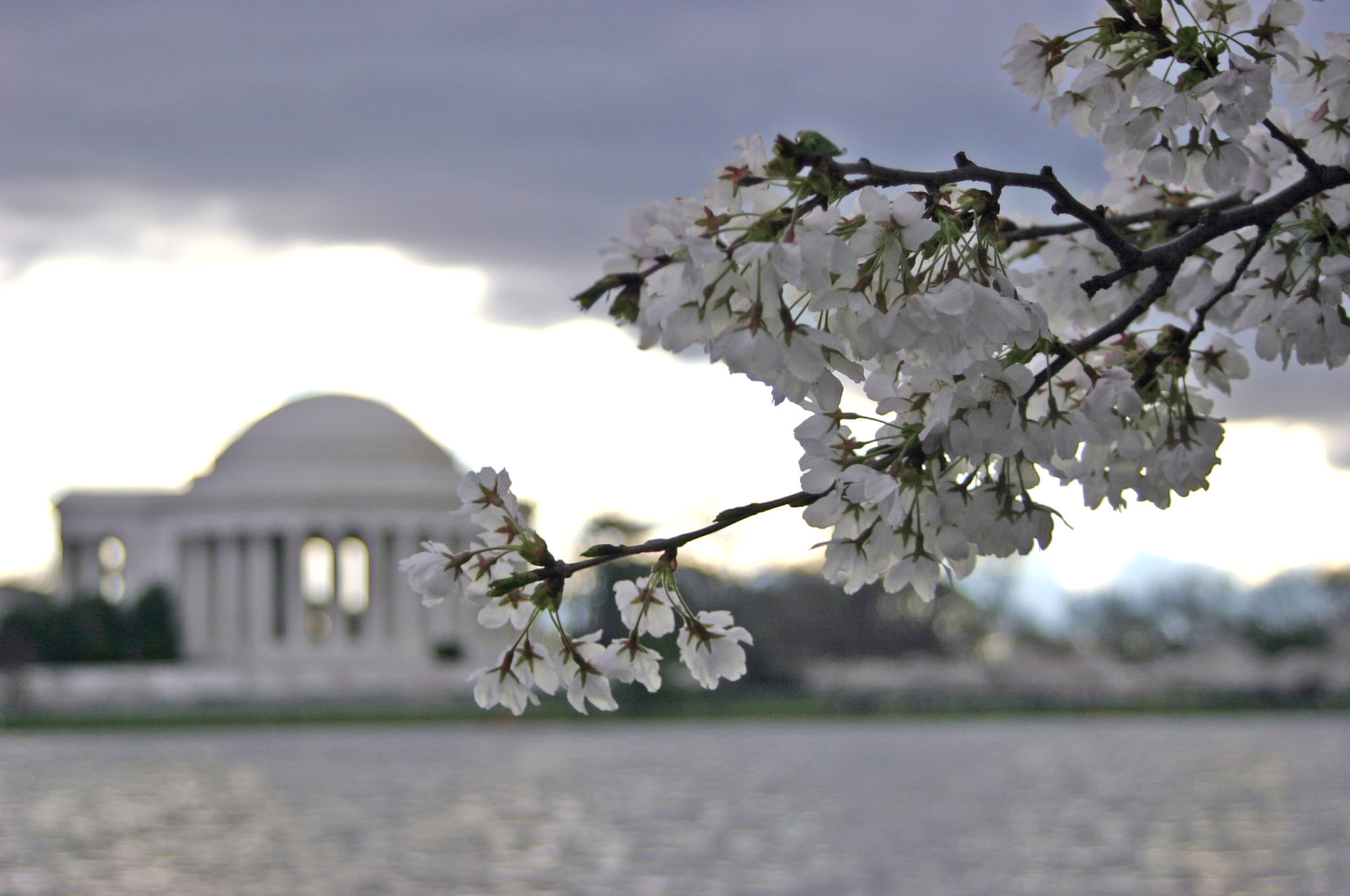 Photography by sjbement for DesignCrowd (Community Contests) | Design #9118155