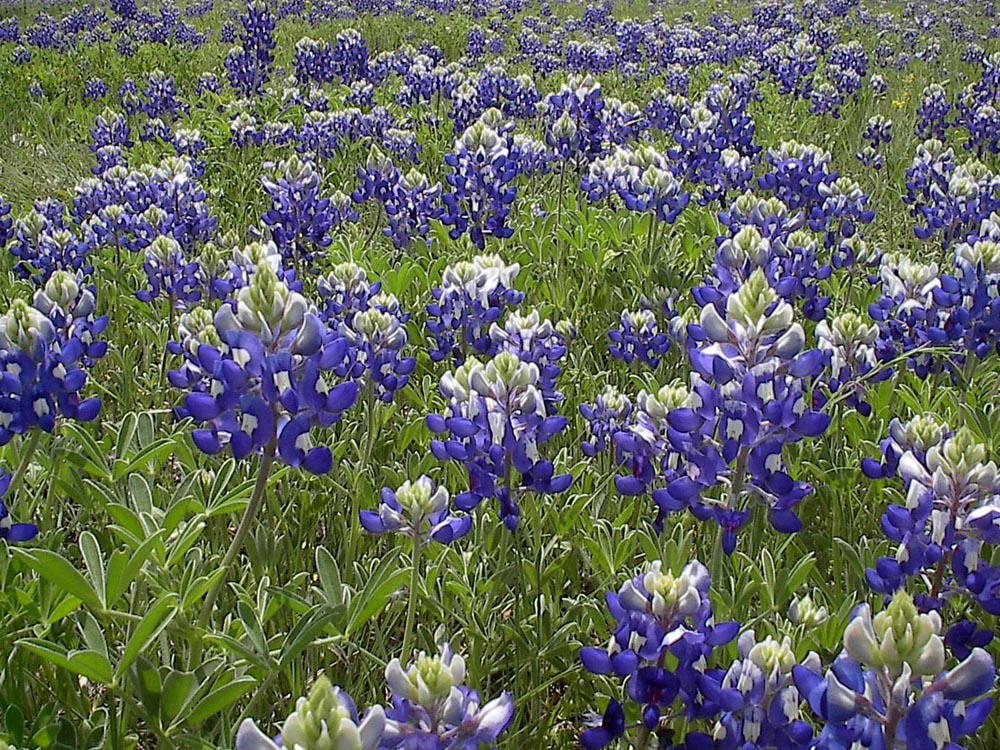 Photography by N2framing for DesignCrowd (Community Contests) | Design #9118144