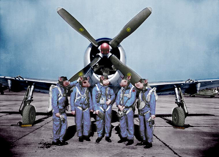 Photoshop Design by Monkeyknife for DesignCrowd (Community Contests) | Design #9123228