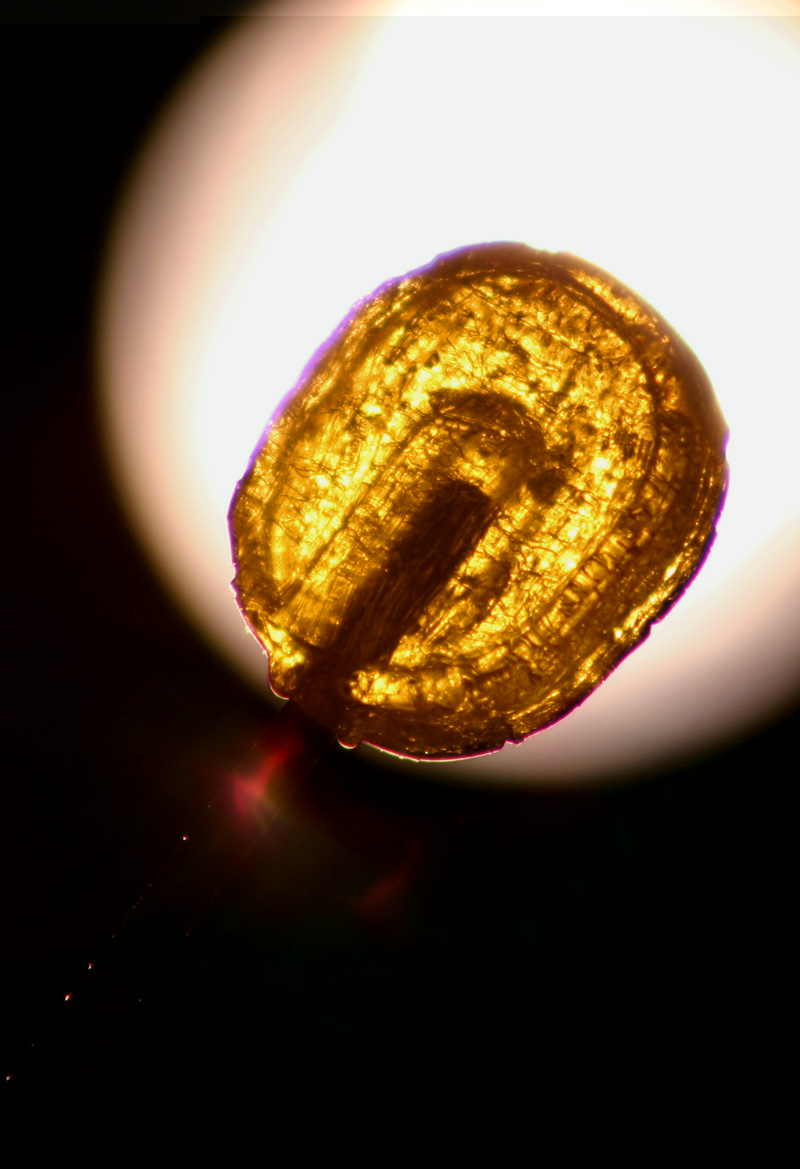 Fotografie von SigloV für DesignCrowd (Community Contests) | Design #9123383