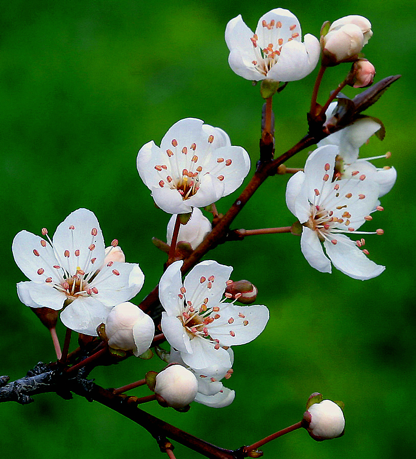 Fotografía por RitaRichter para DesignCrowd (Community Contests) | Diseño #9118197