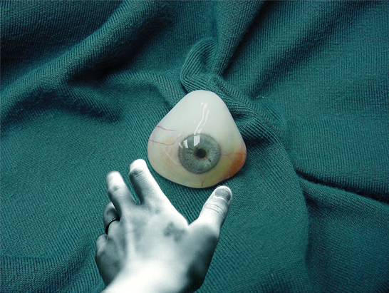 Diseño de Photoshop por julianneovie para DesignCrowd (Community Contests) | Diseño #9123345