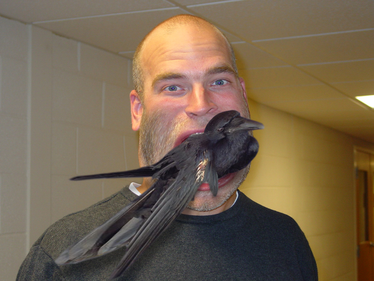 Design Photoshop par Anakinnnn pour DesignCrowd (Community Contests) | Design #9123372