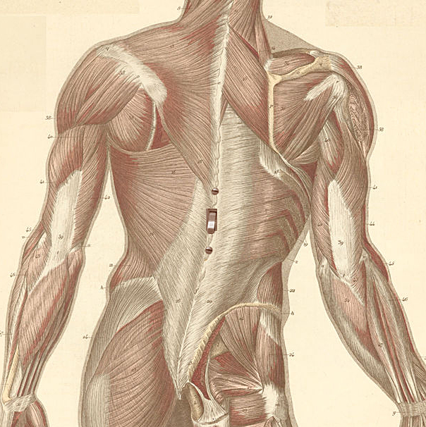 Photoshop-Design von robayer für DesignCrowd (Community Contests) | Design #9123297