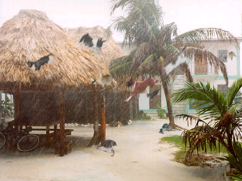 Photoshop Design by ashleyulmer for DesignCrowd (Community Contests) | Design #9123373