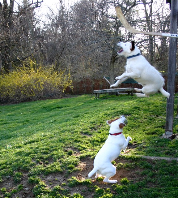 Photography by bjallen for DesignCrowd (Community Contests) | Design #9122125