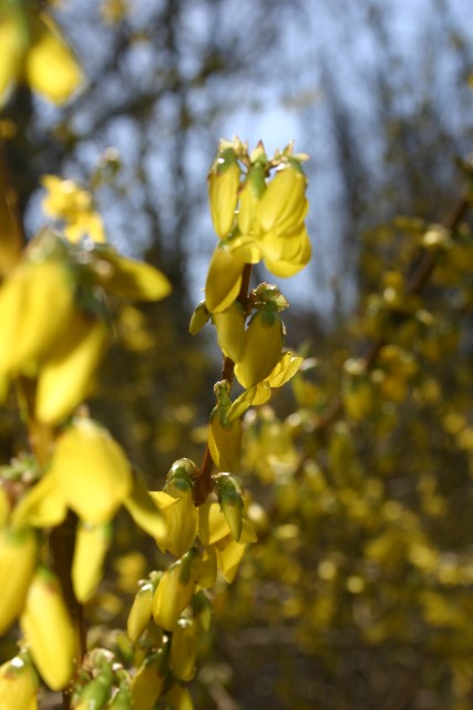 Photography by bjallen for DesignCrowd (Community Contests) | Design #9118210