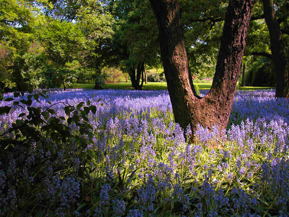 Photography by groaner for DesignCrowd (Community Contests) | Design #9118343