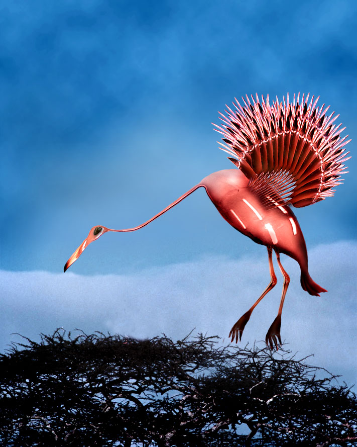 Photoshop Design by wappuh for DesignCrowd (Community Contests) | Design #9122511