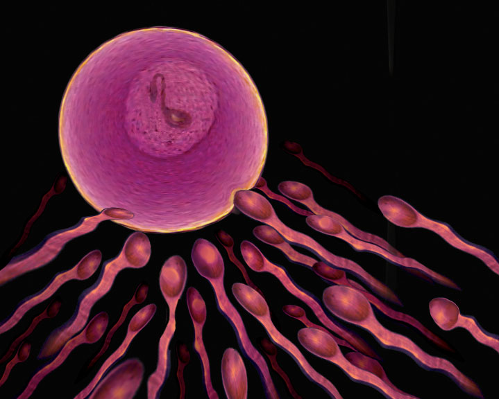 Diseño de Photoshop por Redstar para DesignCrowd (Community Contests) | Diseño #9122550