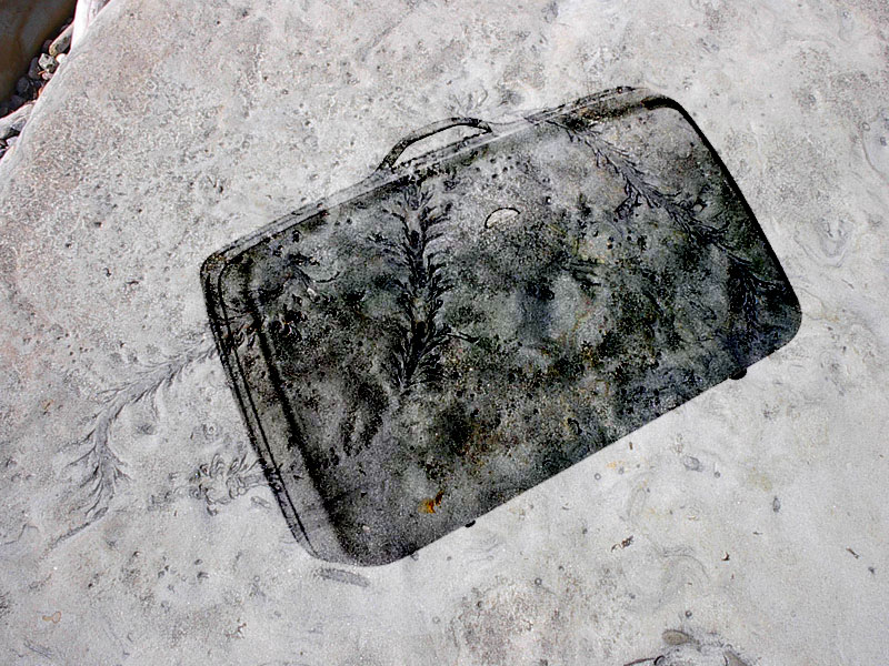 Diseño de Photoshop por vey1999 para DesignCrowd (Community Contests) | Diseño #9106409