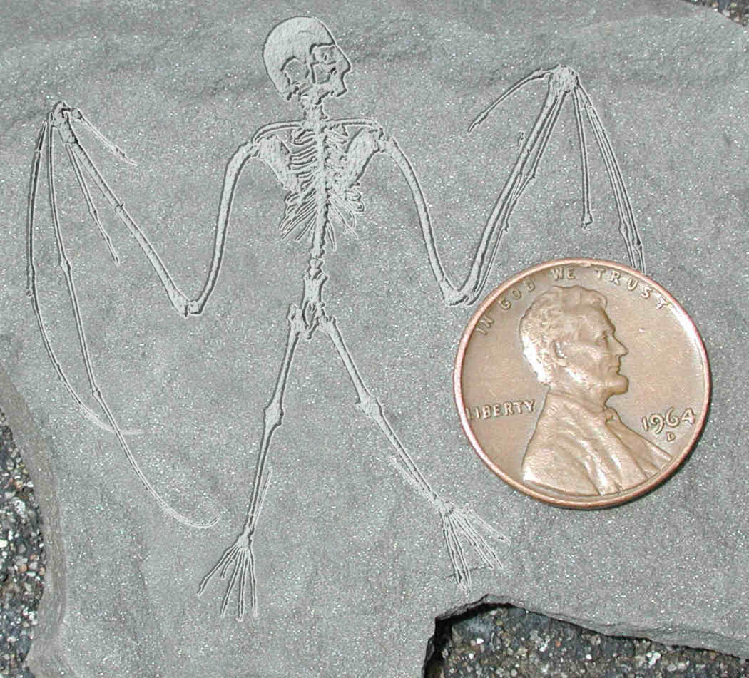 Photoshop Design by gorgonzola for DesignCrowd (Community Contests) | Design #9106391