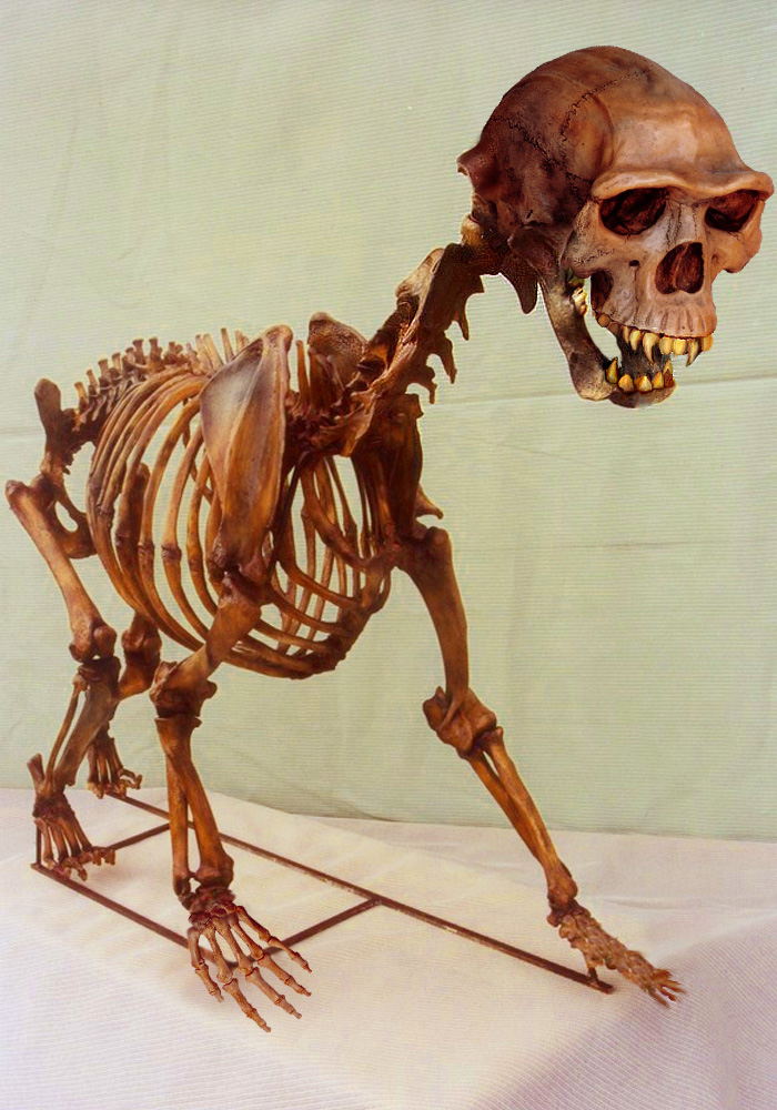 Design Photoshop par axwear pour DesignCrowd (Community Contests) | Design #9106440