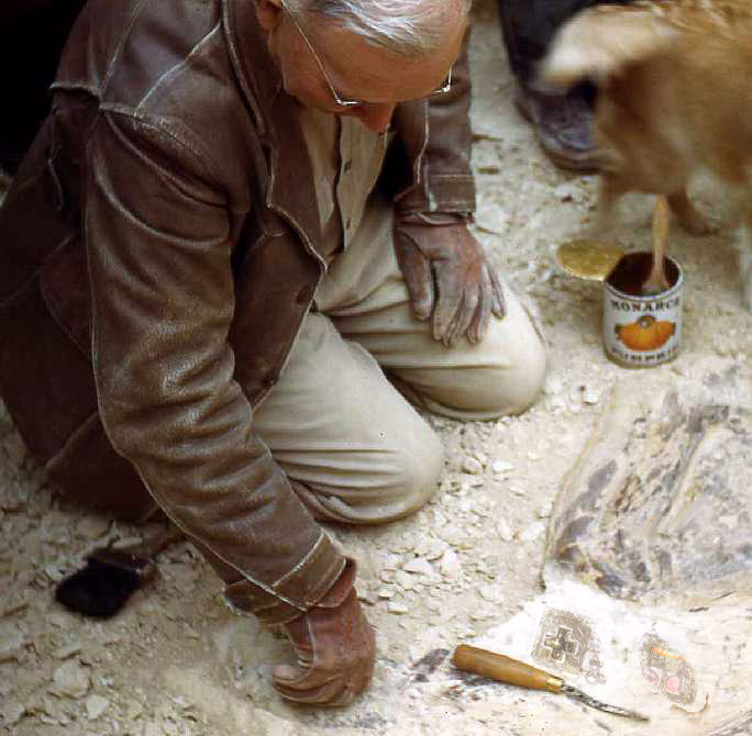 Design Photoshop par m000ch pour DesignCrowd (Community Contests) | Design #9106454