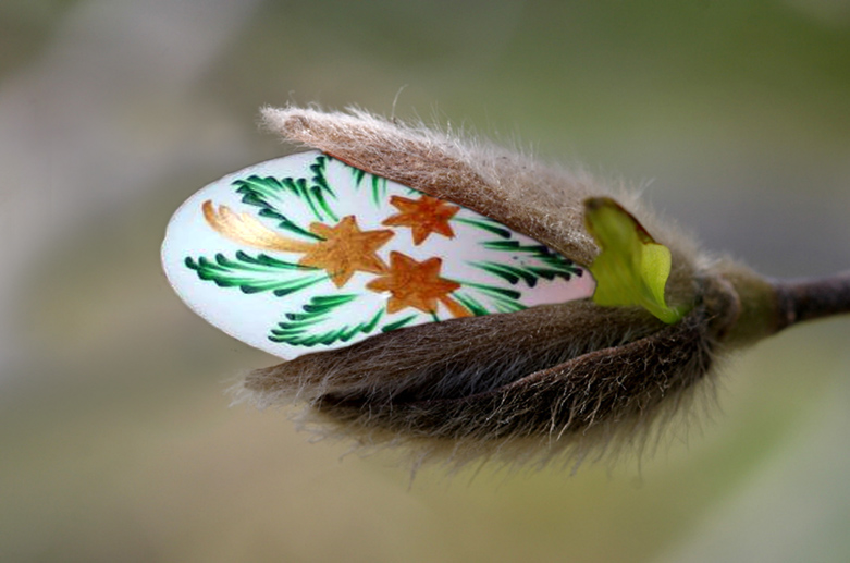 Photoshop Design by bobike for DesignCrowd (Community Contests) | Design #9126246