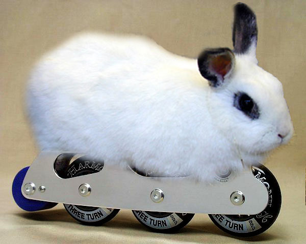 Photoshop Design by sand02 for DesignCrowd (Community Contests) | Design #9126256